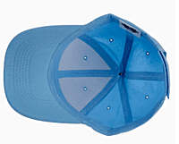 Baseball Caps (Unisex Six-Panel Twill)