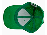 Baseball Caps (Unisex Six-Panel Twill)