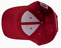 Baseball Caps (Unisex Six-Panel Twill)