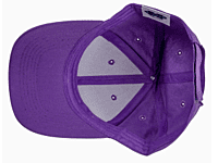 Baseball Caps (Unisex Six-Panel Twill)