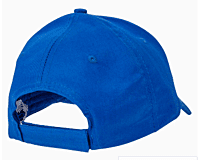 Baseball Caps (Unisex Six-Panel Twill)